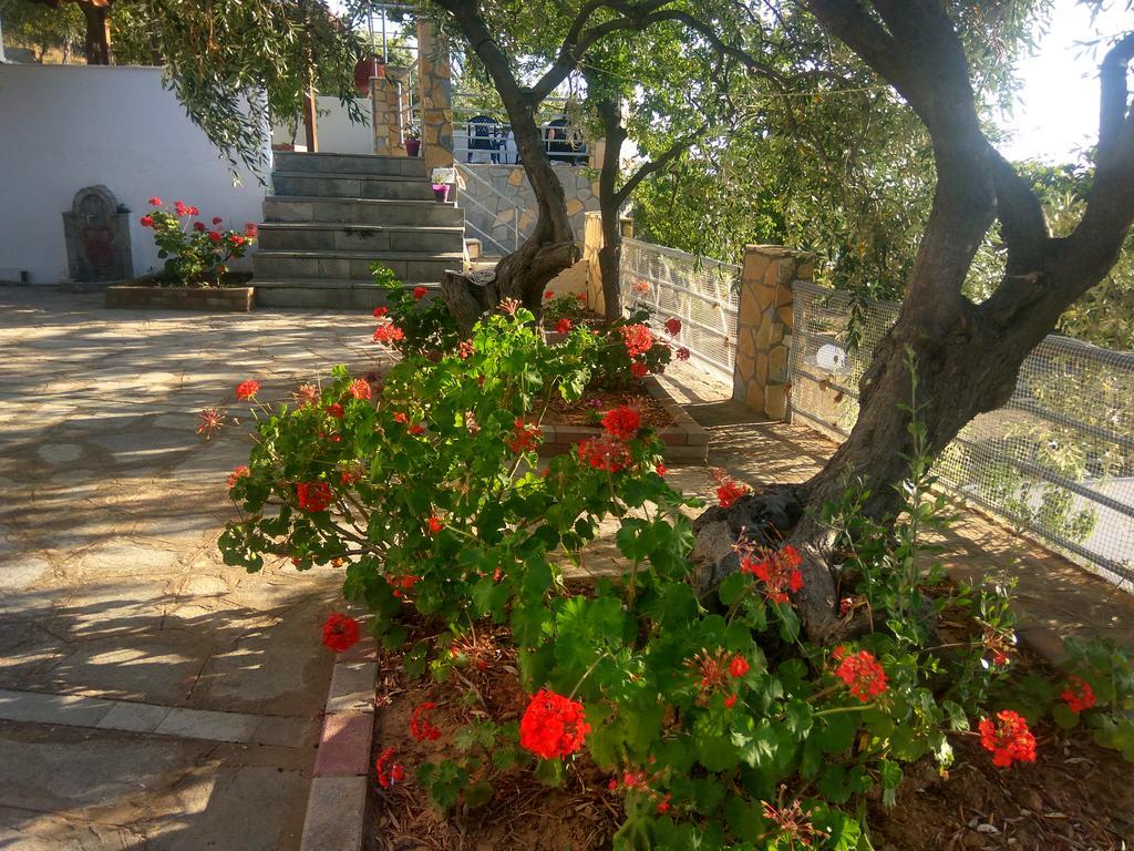 Karantola Studios Kallirachi Skála Kallirákhis Exterior foto